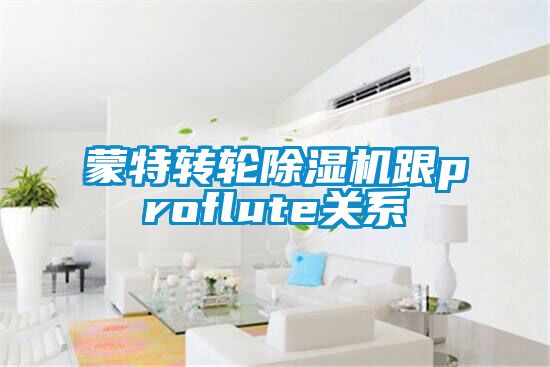 蒙特轉(zhuǎn)輪除濕機跟proflute關(guān)系