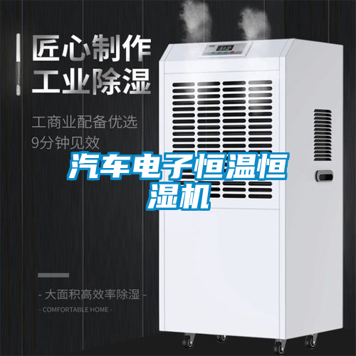 汽車(chē)電子恒溫恒濕機(jī)