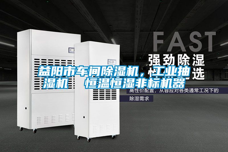 益陽(yáng)市車間除濕機(jī)，工業(yè)抽濕機(jī)  恒溫恒濕非標(biāo)機(jī)器