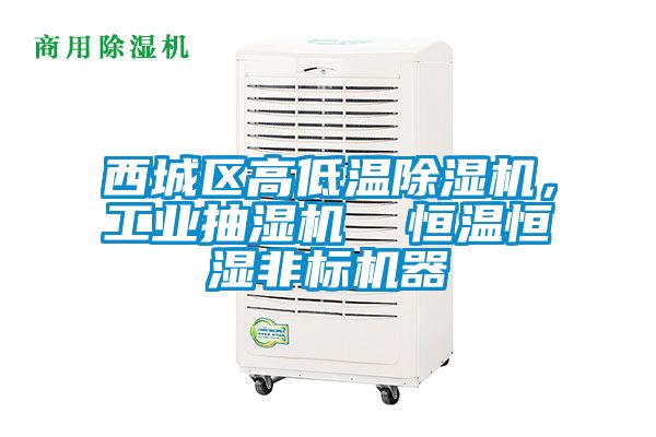 西城區(qū)高低溫除濕機(jī)，工業(yè)抽濕機(jī)  恒溫恒濕非標(biāo)機(jī)器