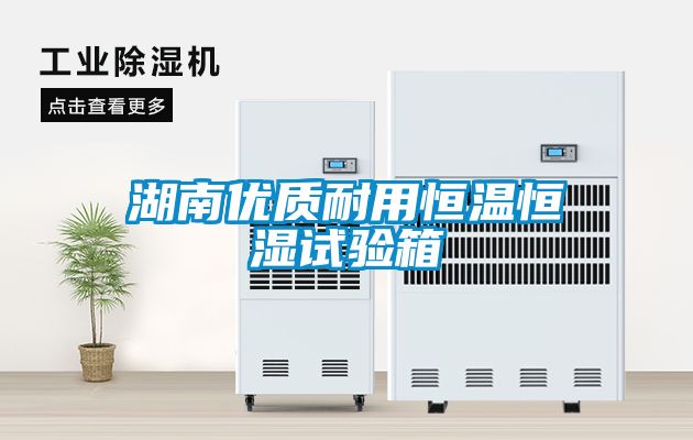 湖南優(yōu)質(zhì)耐用恒溫恒濕試驗箱