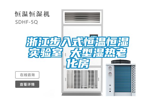 浙江步入式恒溫恒濕實驗室 大型濕熱老化房