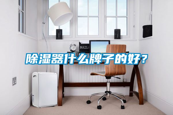 除濕器什么牌子的好？