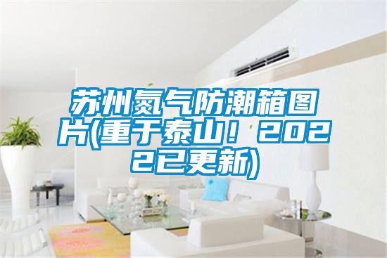 蘇州氮?dú)夥莱毕鋱D片(重于泰山！2022已更新)