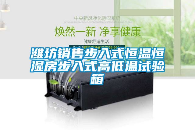 濰坊銷售步入式恒溫恒濕房步入式高低溫試驗(yàn)箱