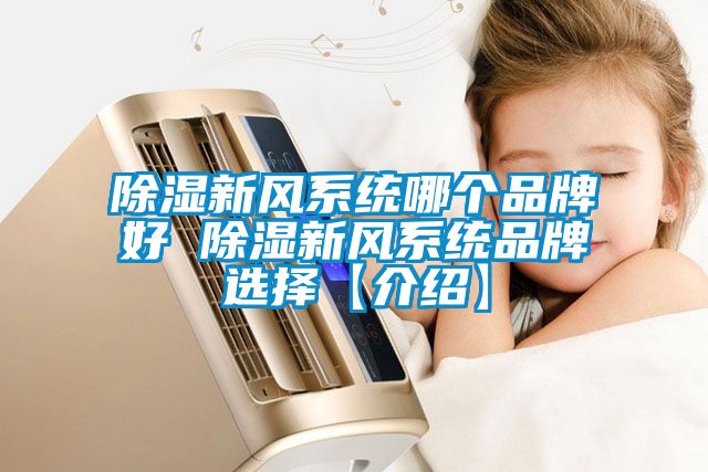除濕新風(fēng)系統(tǒng)哪個品牌好 除濕新風(fēng)系統(tǒng)品牌選擇【介紹】