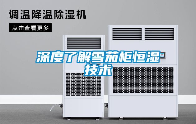 深度了解雪茄柜恒濕技術