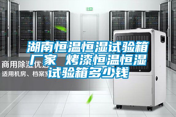 湖南恒溫恒濕試驗箱廠家 烤漆恒溫恒濕試驗箱多少錢