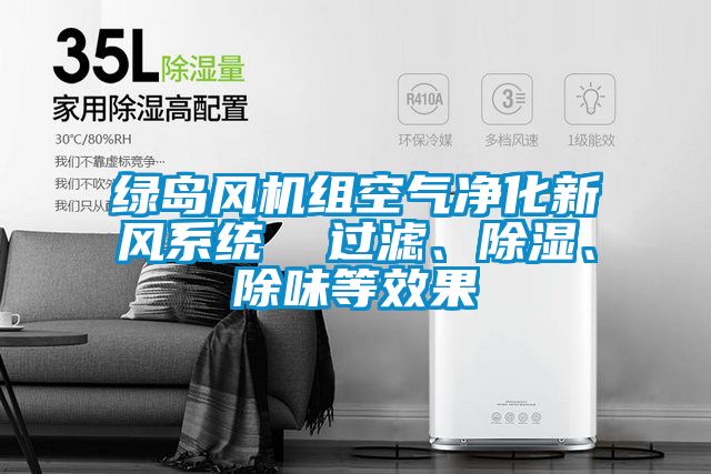 綠島風(fēng)機(jī)組空氣凈化新風(fēng)系統(tǒng)  過(guò)濾、除濕、除味等效果