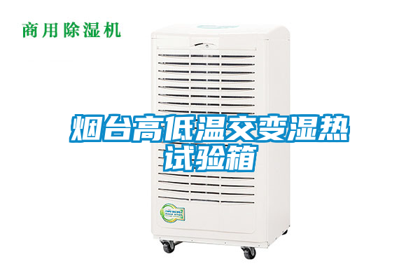 煙臺高低溫交變濕熱試驗(yàn)箱