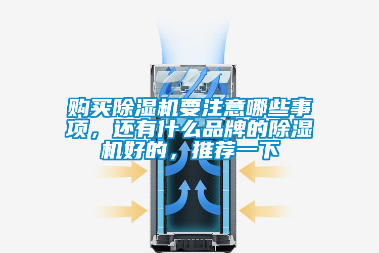 購(gòu)買(mǎi)除濕機(jī)要注意哪些事項(xiàng)，還有什么品牌的除濕機(jī)好的，推薦一下