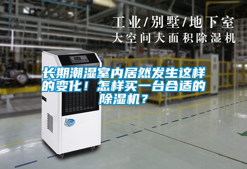 長期潮濕室內(nèi)居然發(fā)生這樣的變化！怎樣買一臺合適的除濕機(jī)？
