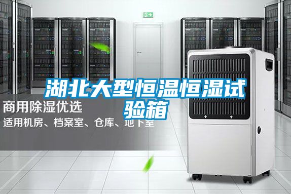 湖北大型恒溫恒濕試驗(yàn)箱