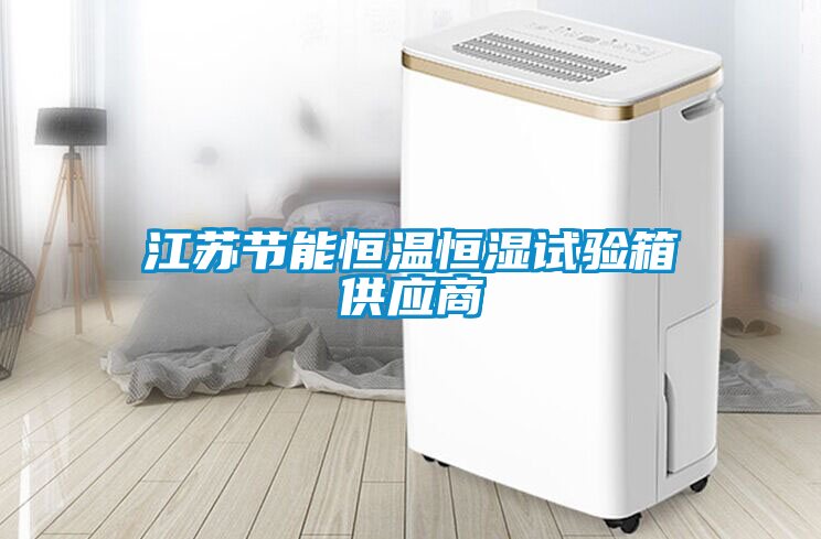 江蘇節(jié)能恒溫恒濕試驗(yàn)箱供應(yīng)商