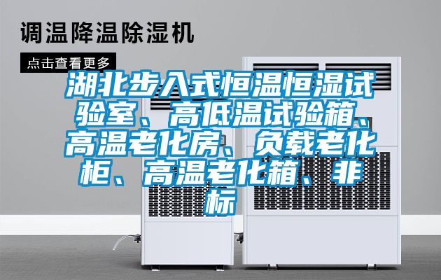 湖北步入式恒溫恒濕試驗室、高低溫試驗箱、高溫老化房、負載老化柜、高溫老化箱、非標