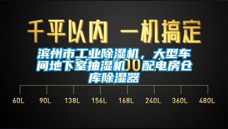 濱州市工業(yè)除濕機(jī)，大型車間地下室抽濕機(jī)  配電房倉(cāng)庫(kù)除濕器