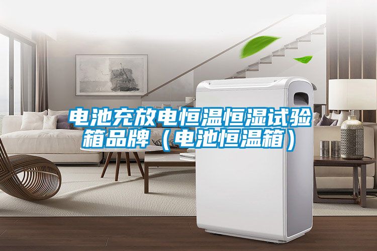 電池充放電恒溫恒濕試驗(yàn)箱品牌（電池恒溫箱）