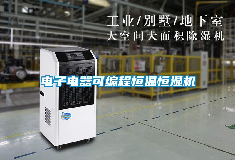 電子電器可編程恒溫恒濕機(jī)