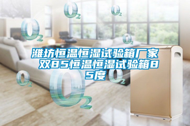 濰坊恒溫恒濕試驗(yàn)箱廠家 雙85恒溫恒濕試驗(yàn)箱85度