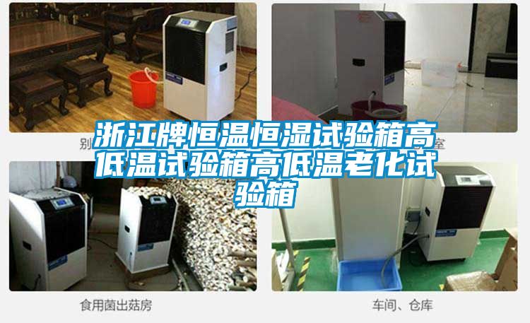 浙江牌恒溫恒濕試驗箱高低溫試驗箱高低溫老化試驗箱