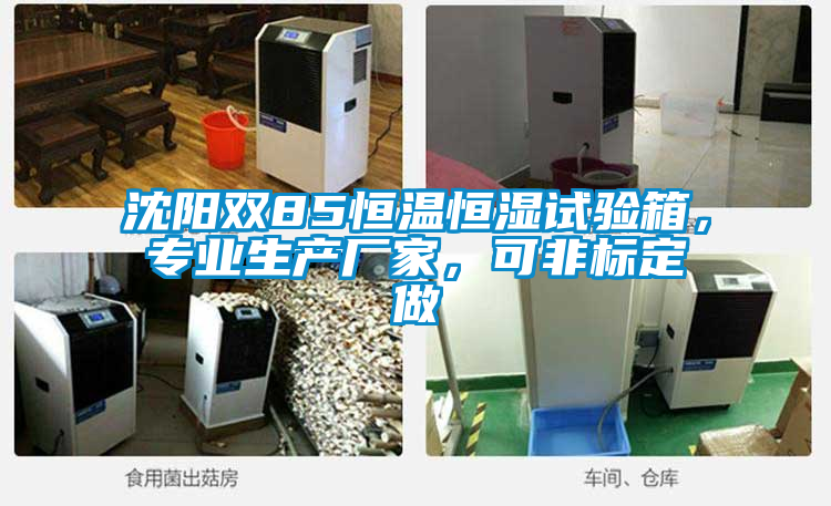 沈陽(yáng)雙85恒溫恒濕試驗(yàn)箱，專(zhuān)業(yè)生產(chǎn)廠家，可非標(biāo)定做