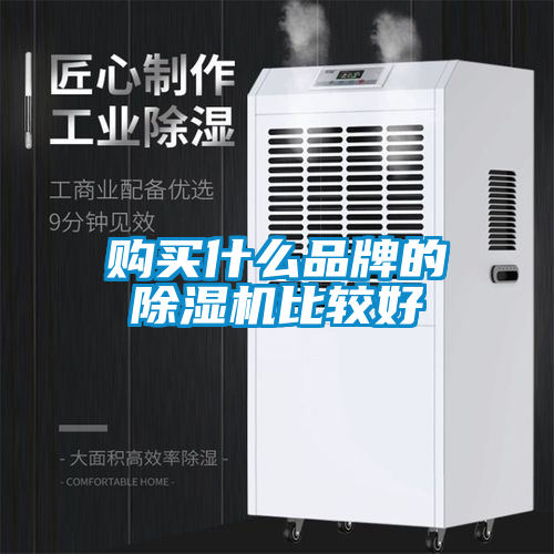 購(gòu)買(mǎi)什么品牌的除濕機(jī)比較好