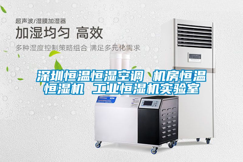 深圳恒溫恒濕空調 機房恒溫恒濕機 工業(yè)恒濕機實驗室