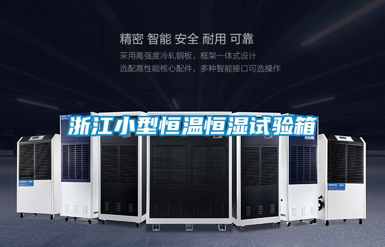 浙江小型恒溫恒濕試驗箱