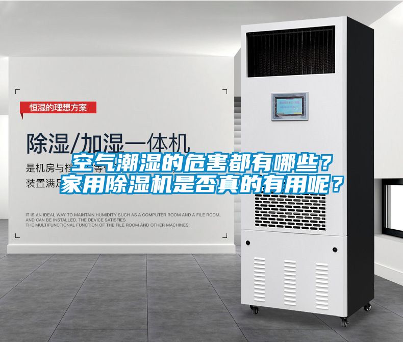 空氣潮濕的危害都有哪些？家用除濕機是否真的有用呢？