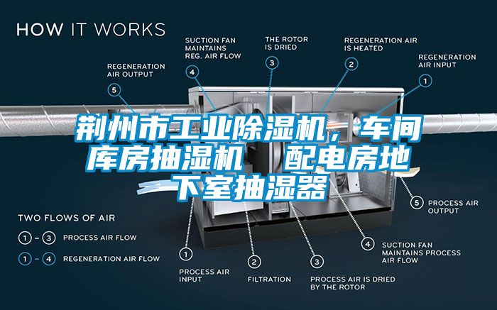 荊州市工業(yè)除濕機(jī)，車間庫(kù)房抽濕機(jī)  配電房地下室抽濕器