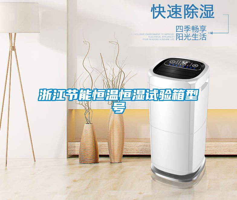 浙江節(jié)能恒溫恒濕試驗箱型號