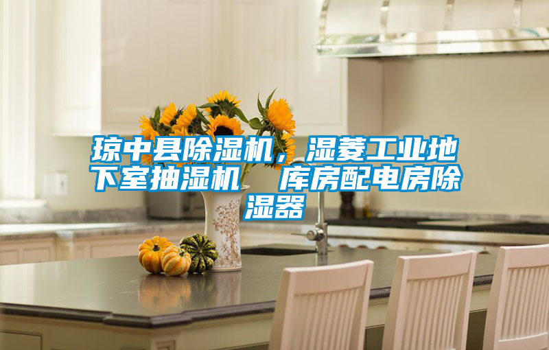 瓊中縣除濕機(jī)，濕菱工業(yè)地下室抽濕機(jī)  庫(kù)房配電房除濕器