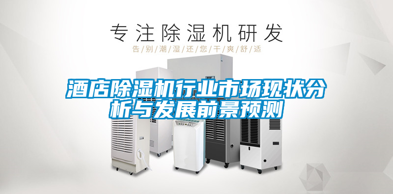 酒店除濕機行業(yè)市場現(xiàn)狀分析與發(fā)展前景預(yù)測