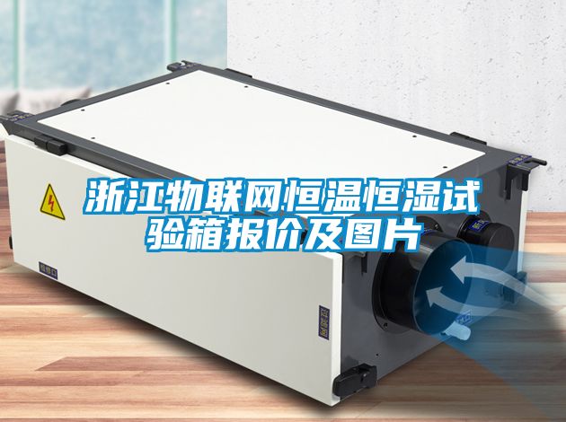 浙江物聯(lián)網(wǎng)恒溫恒濕試驗箱報價及圖片