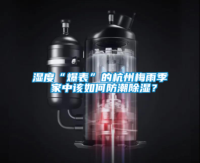 濕度“爆表”的杭州梅雨季 家中該如何防潮除濕？