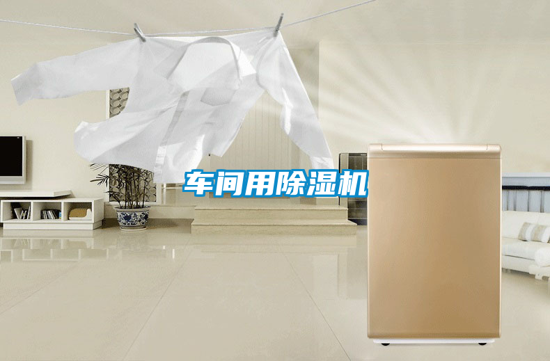 車(chē)間用除濕機(jī)
