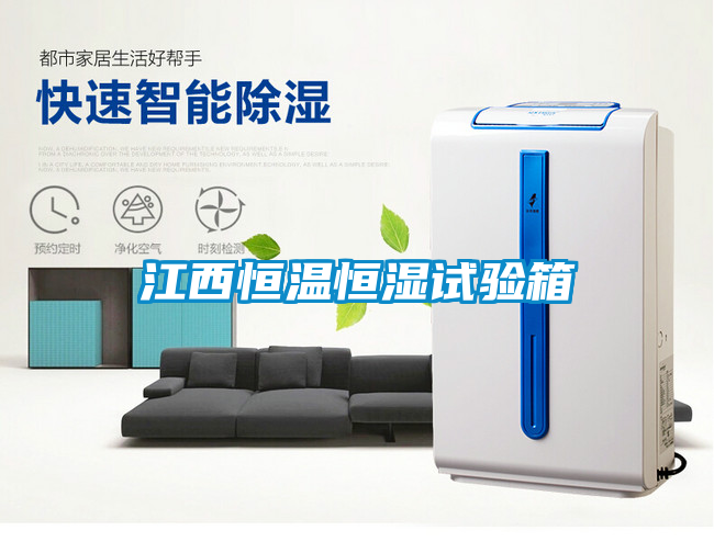 江西恒溫恒濕試驗箱