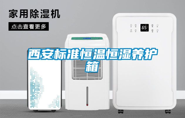 西安標準恒溫恒濕養(yǎng)護箱