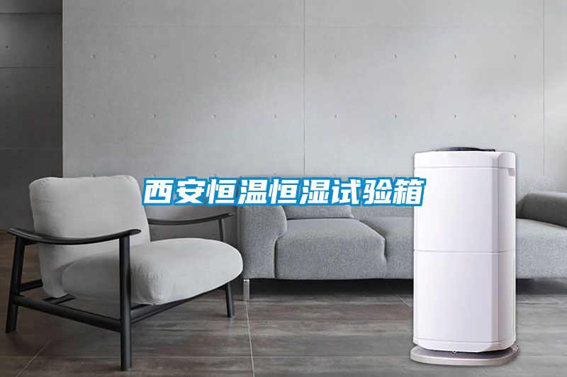 西安恒溫恒濕試驗箱