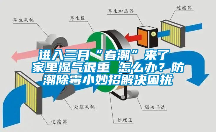 進(jìn)入三月“春潮”來了 家里濕氣很重 怎么辦？防潮除霉小妙招解決困擾