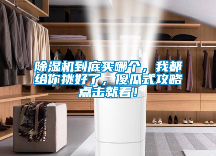 除濕機(jī)到底買(mǎi)哪個(gè)，我都給你挑好了，傻瓜式攻略點(diǎn)擊就看！