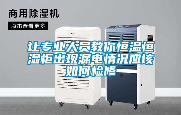 讓專業(yè)人員教你恒溫恒濕柜出現(xiàn)漏電情況應(yīng)該如何檢修