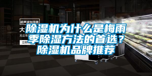 除濕機(jī)為什么是梅雨季除濕方法的首選？除濕機(jī)品牌推薦