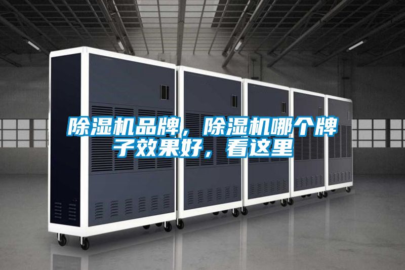 除濕機(jī)品牌，除濕機(jī)哪個牌子效果好，看這里