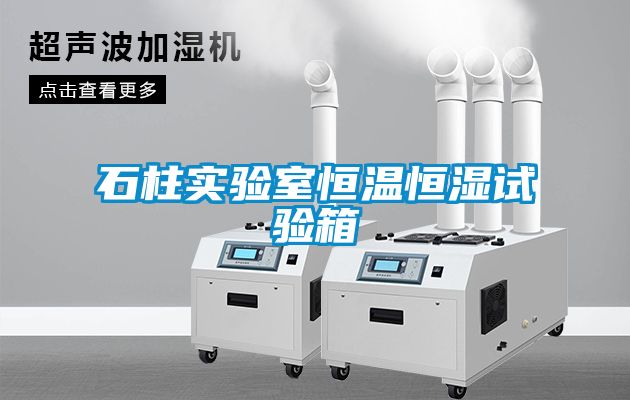 石柱實(shí)驗(yàn)室恒溫恒濕試驗(yàn)箱
