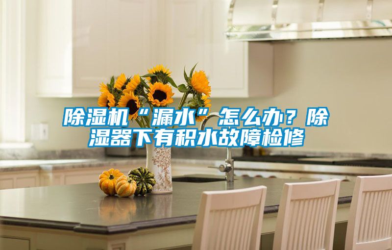除濕機“漏水”怎么辦？除濕器下有積水故障檢修