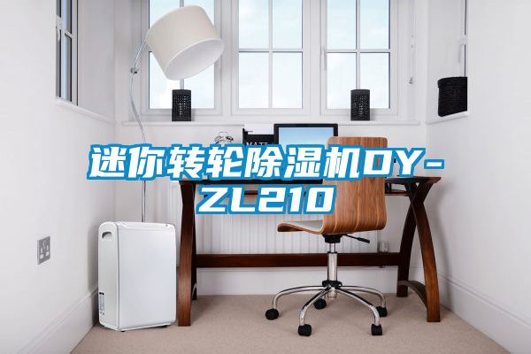 迷你轉(zhuǎn)輪除濕機DY-ZL210