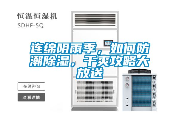 連綿陰雨季，如何防潮除濕，干爽攻略大放送