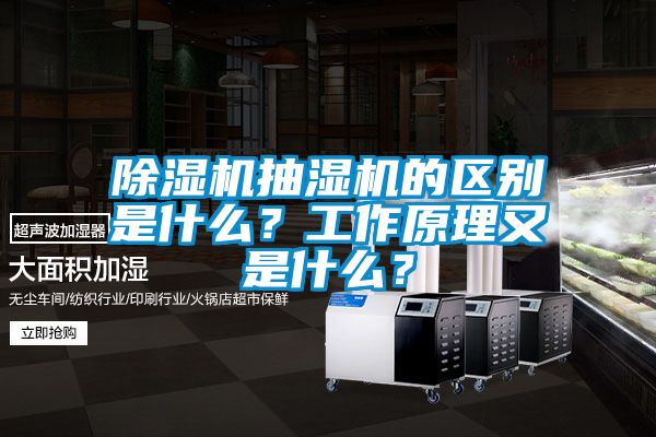 除濕機(jī)抽濕機(jī)的區(qū)別是什么？工作原理又是什么？