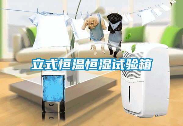 立式恒溫恒濕試驗(yàn)箱